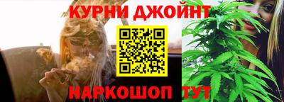 винт Тара