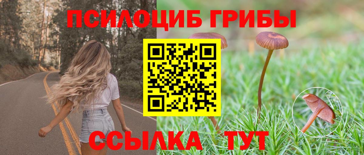 Псилоцибиновые грибы MAGIC MUSHROOMS  Псилоцибиновые грибы Magic Shrooms  Вход с VPN  Алушта 